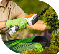 Image of an
        employee pruning a hedge
