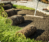 An image of rolls of
          turf ready to be laid out