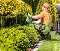 An image of a
          landscaper trimming a hedge