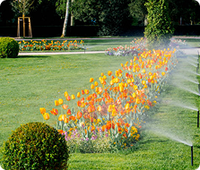 An image of a
          sprinkler system in action