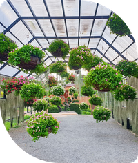 Image of hanging flower
        baskets